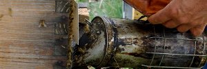 Beekeeping techniques